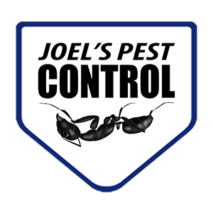 pest control Southend